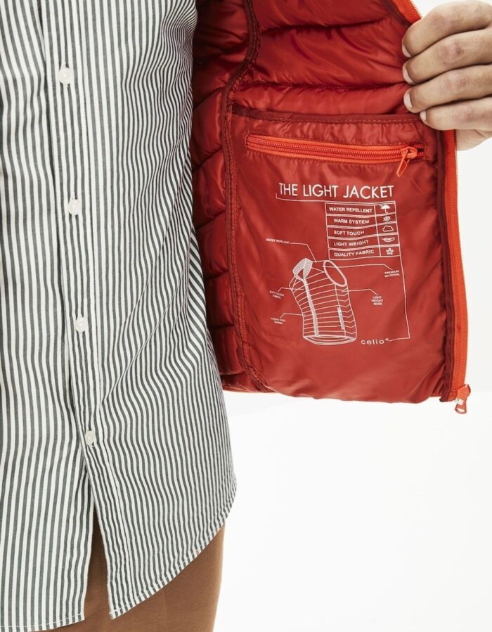 CELIO MENS VEST NULESS BRUNT ORANGE - Image 4