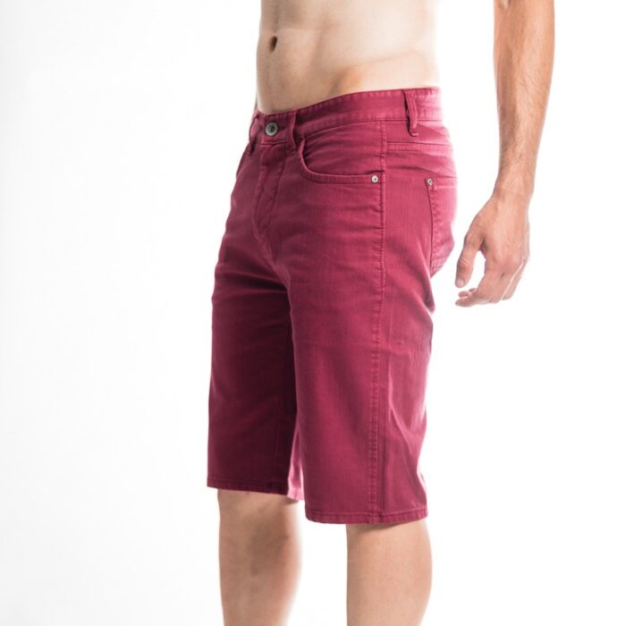 BASEHIT MENS SHORTS D.BERRY WINE - Image 4